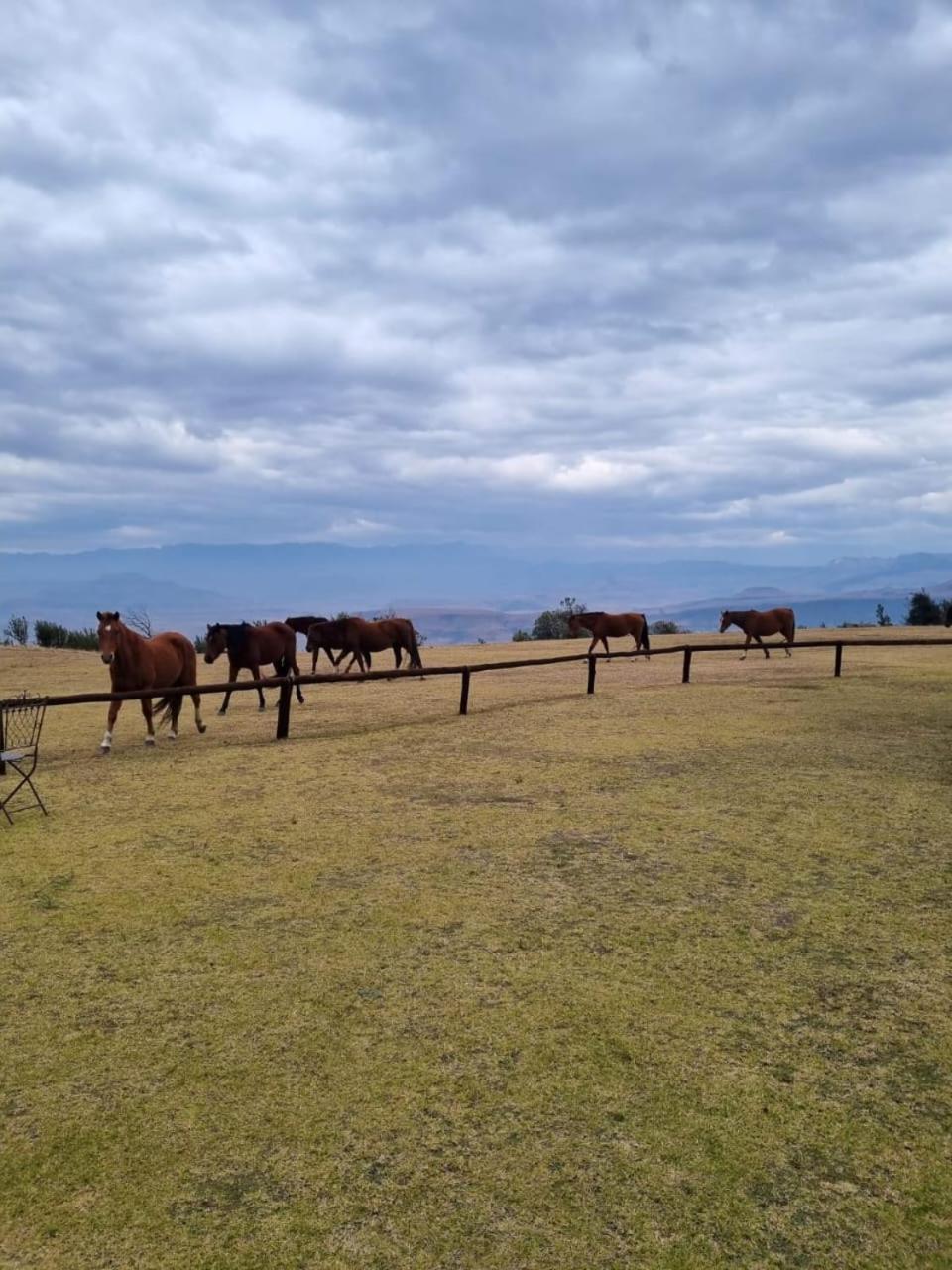 Drakensberg Mountain Retreat Pensionat Bergville Exteriör bild